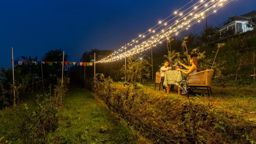 Best Luxury Bungalows in Mukteshwar for Family – Stay at the Premium & Heritage Parvada Bungalows