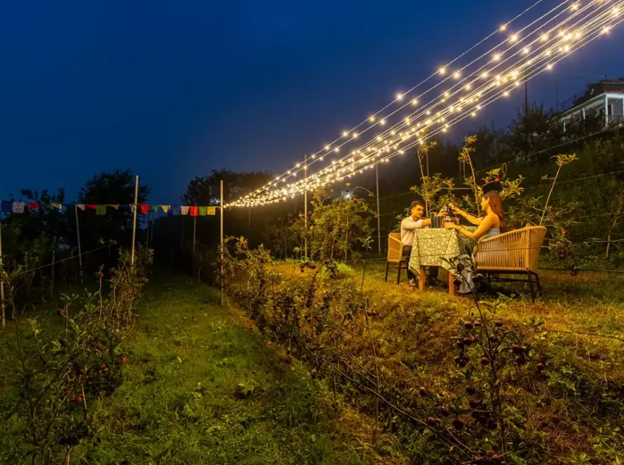 Best Luxury Bungalows in Mukteshwar for Family – Stay at the Premium & Heritage Parvada Bungalows